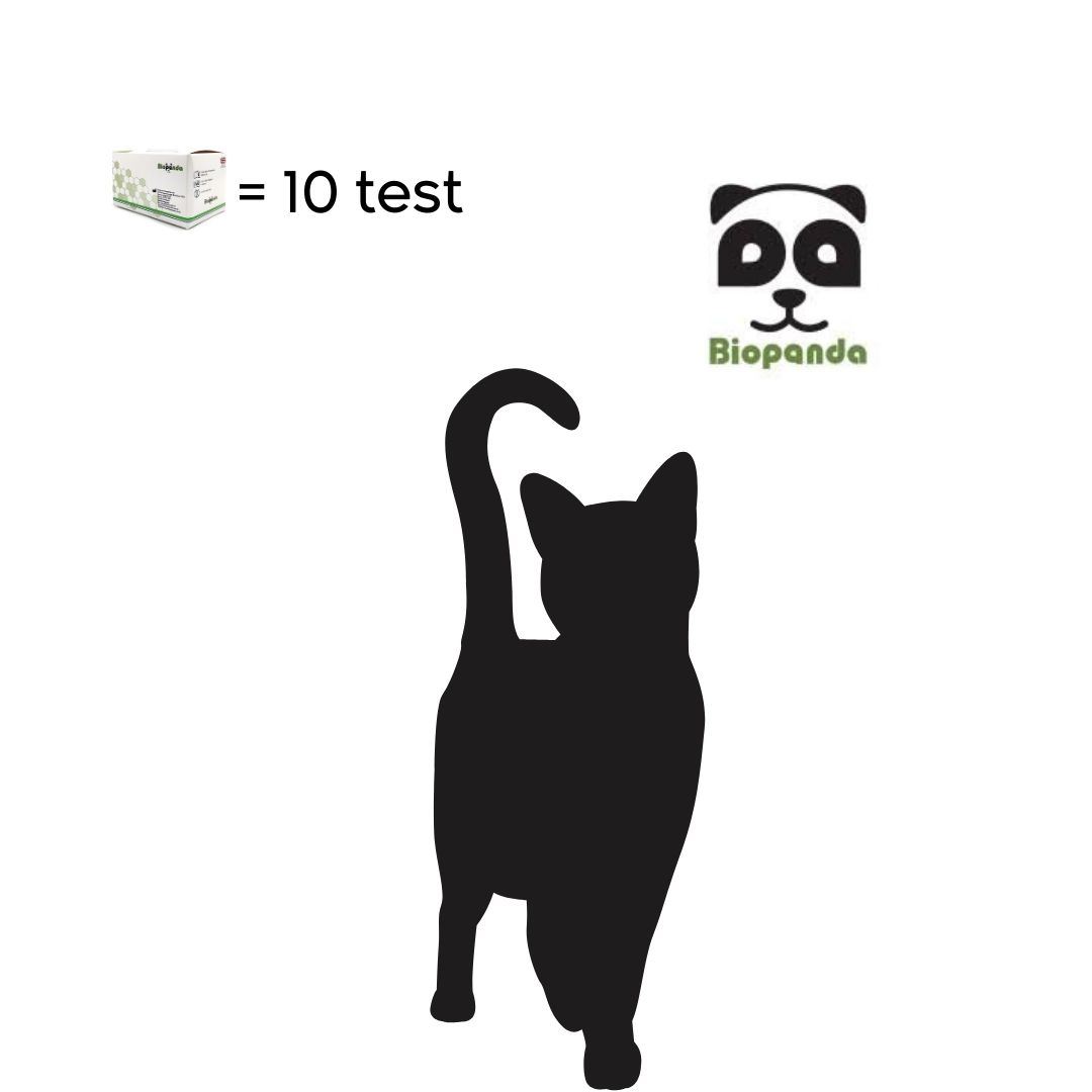 PANLEUCOPENIA FELINA